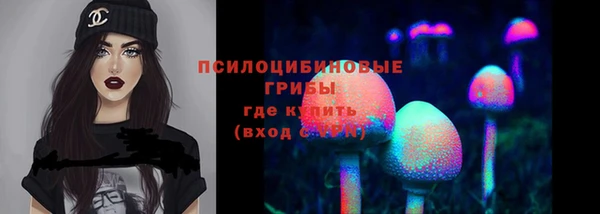 гашик Балахна