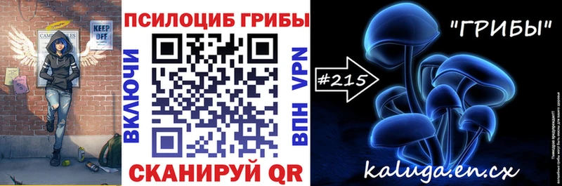 Псилоцибиновые грибы Psilocybine cubensis  кракен зеркало  Весьегонск 